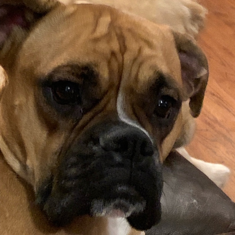 Meet your Posher, Anna